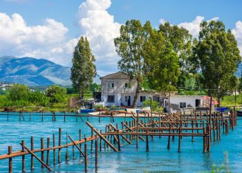 Two Ways to Maximise Your Creative Output